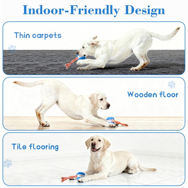 8_a6b4d695-b014-48ec-9ccc-9d8ddfe6d6a9