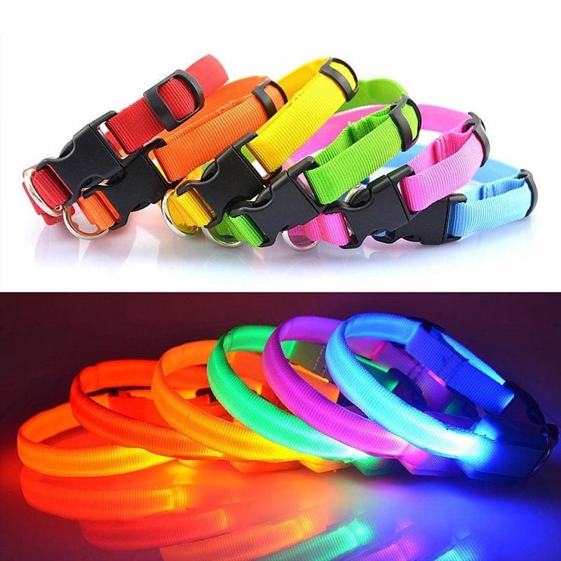 LED-Halsband