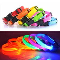 LED-Halsband