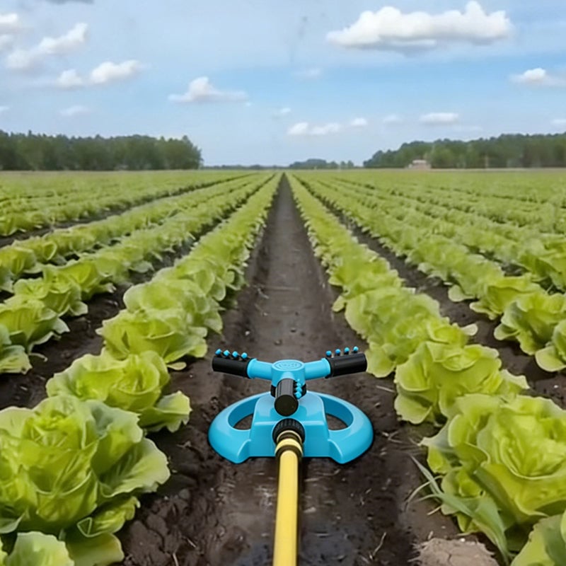 3_f7f6a6de-e8de-49fa-a462-30f25c5de3e6