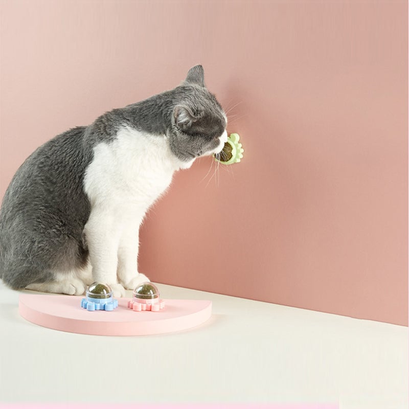 Balles d'herbe à chat - Jouets pour chat