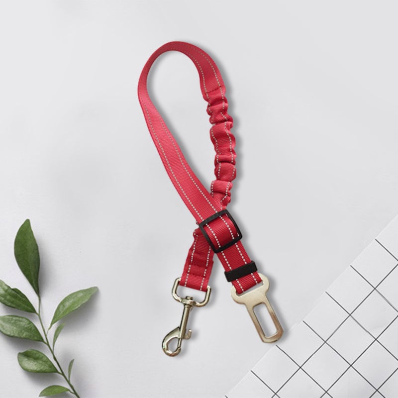 36c6f79c-4055-46a1-965d-431ad597c900