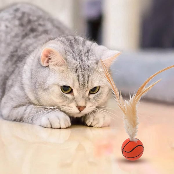 Interactive Feather Ball Toy Set for Cats