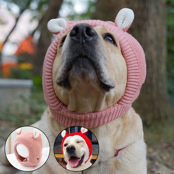Dog Ear Muffs Noise-Protection Knitted Hat