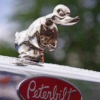 Angry Rubber Duck Hood Ornament