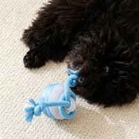 Interactive Smart Rolling Pet Ball