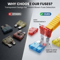 Assorted Automotive Blade Fuse Set