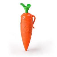 Portable Carrot Voice Recorder Ballpoint Pen