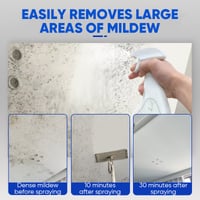 Fast Acting Anti-Mold Wall Cleaner Spray