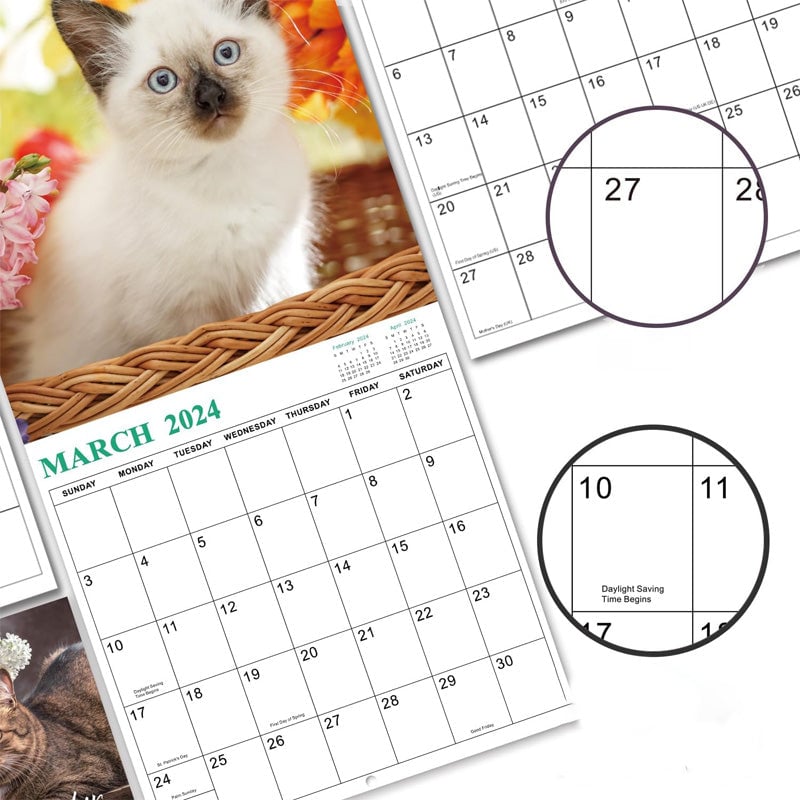 Cute Cat Wall Calendar