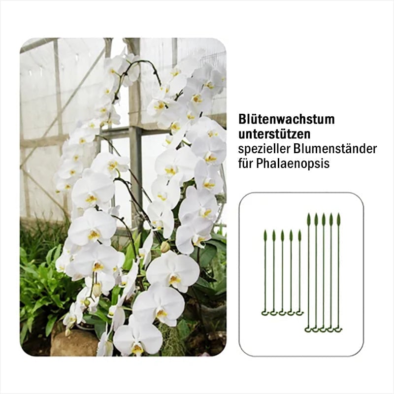 🌱Spezieller Stützstab für Topfpflanzen