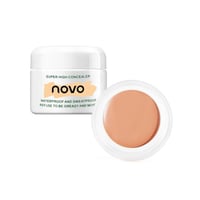 🔥heißer Verkauf🔥Langanhaltender wasserfester Concealer