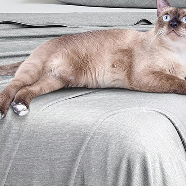 7_57ac4dc6-a884-4f24-866e-f0adf3eade8c