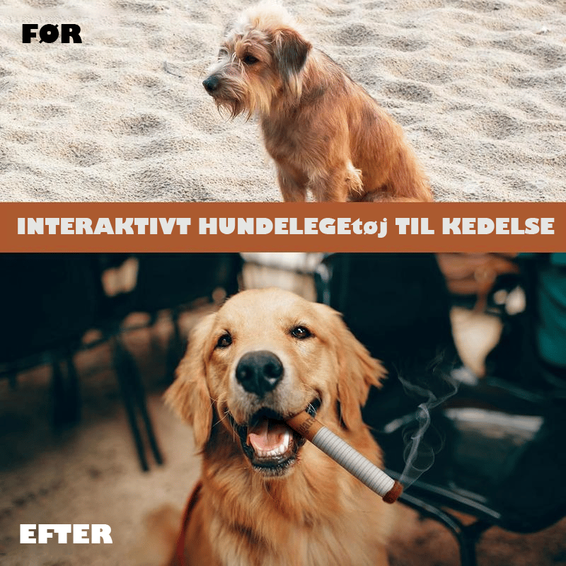 Pet Cigaret Legetøj