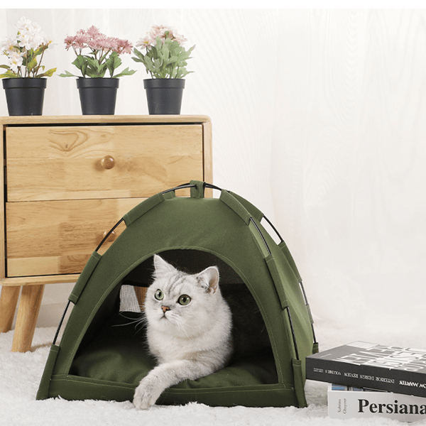 Pet Tent Bed