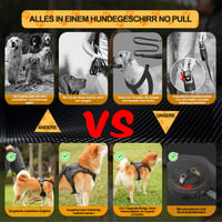 Hundeleine, mehrere Farben