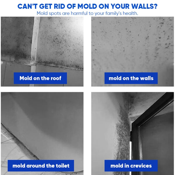 Fast Acting Anti-Mold Wall Cleaner Spray