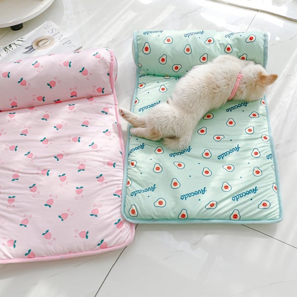 397f6961-ec71-4764-ed4f-8ffed90a8000