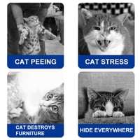 6_1ca50b43-433c-42eb-afb5-258351663ae8