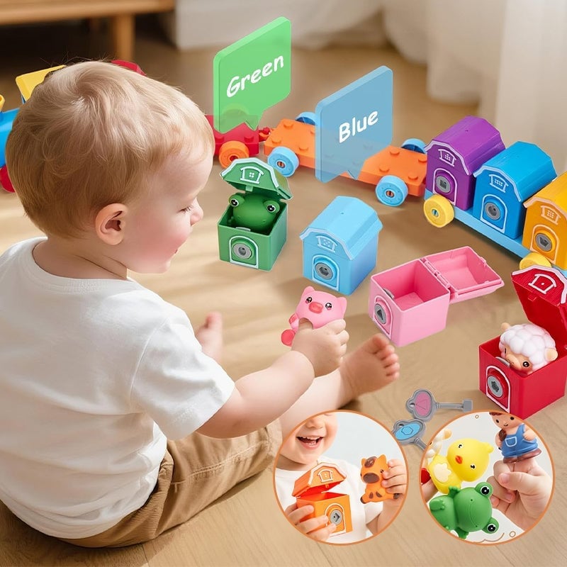 Matching & Sorting Activity Train Set