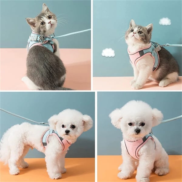 4d2bf8e7b5e258ada912d83d9afe843a02c4cc04-700