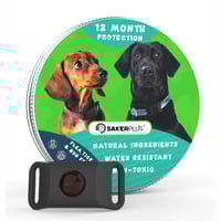 12 Months Flea and Tick Free