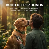 Kexon™ Waterproof Remote Dog Training Collar