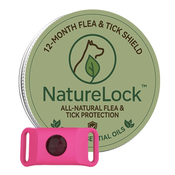 3bc4d8c5-8c30-4e61-c565-a66ee5cd5100