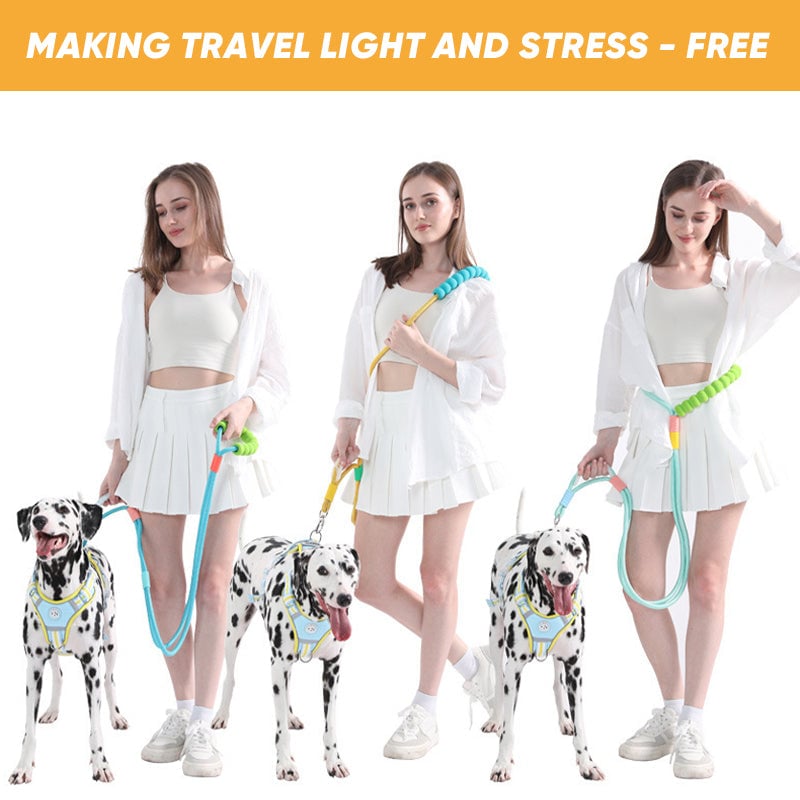 Dog reflective leash
