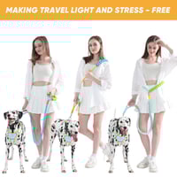 Dog reflective leash