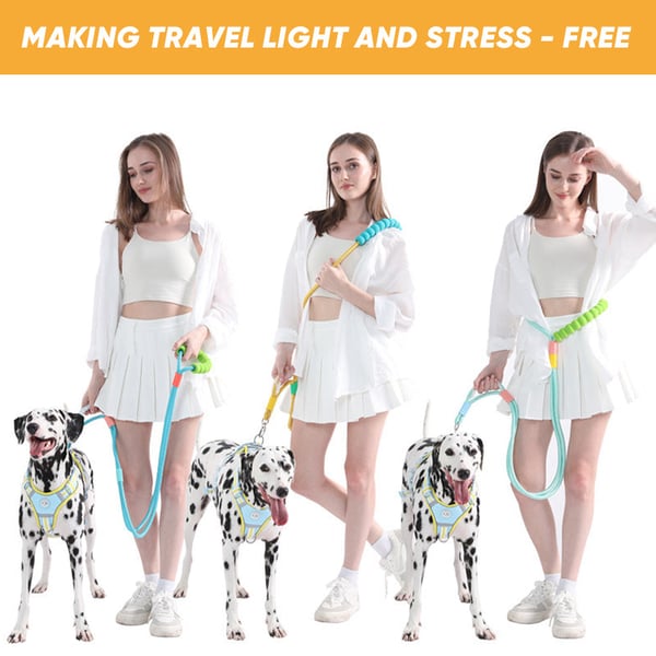 Dog reflective leash