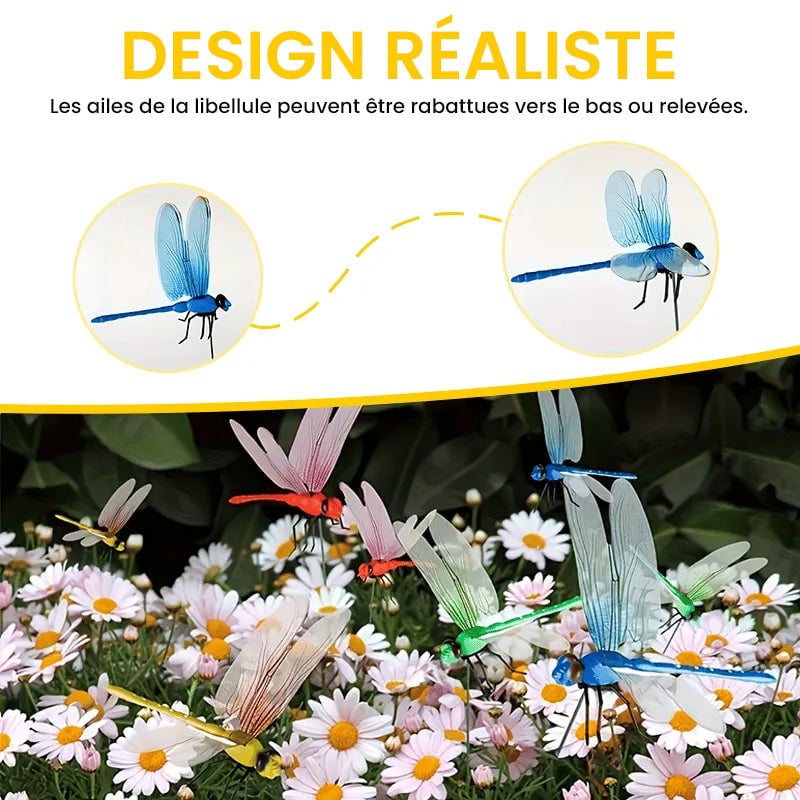 2_7f222368-3b88-4755-ad0b-8608a3d2e8d0