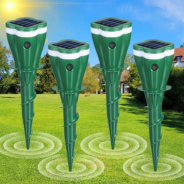 8_3fdd6986-9c87-49e3-970c-96d9928369dc