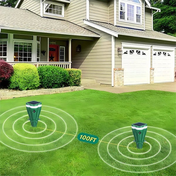 7_a4713237-8ad4-439e-a376-a195f42f8919