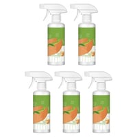 Electrolyzed Ion Kitchen Cleaner Spray