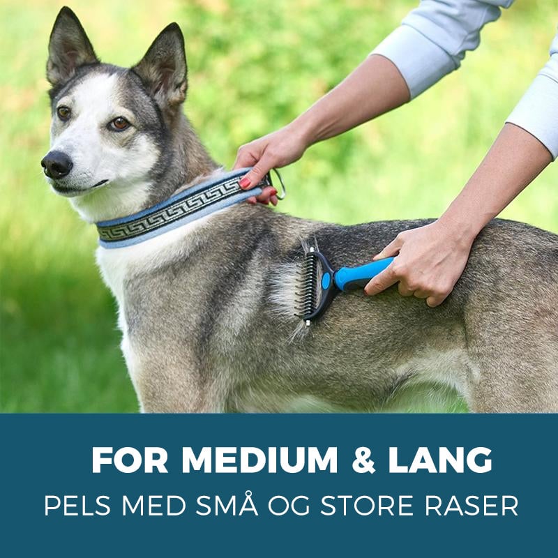 1_0889055d-a6a9-4cc5-845e-a18b4c96e5f3