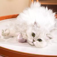 Smart Gravity Cat Teaser Ball