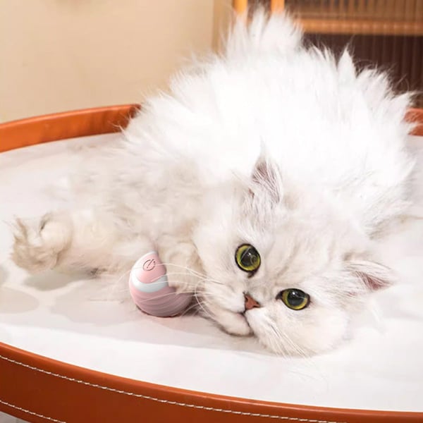 Smart Gravity Cat Teaser Ball
