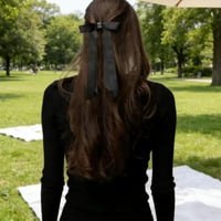 Magnetic Bow Hair Clip