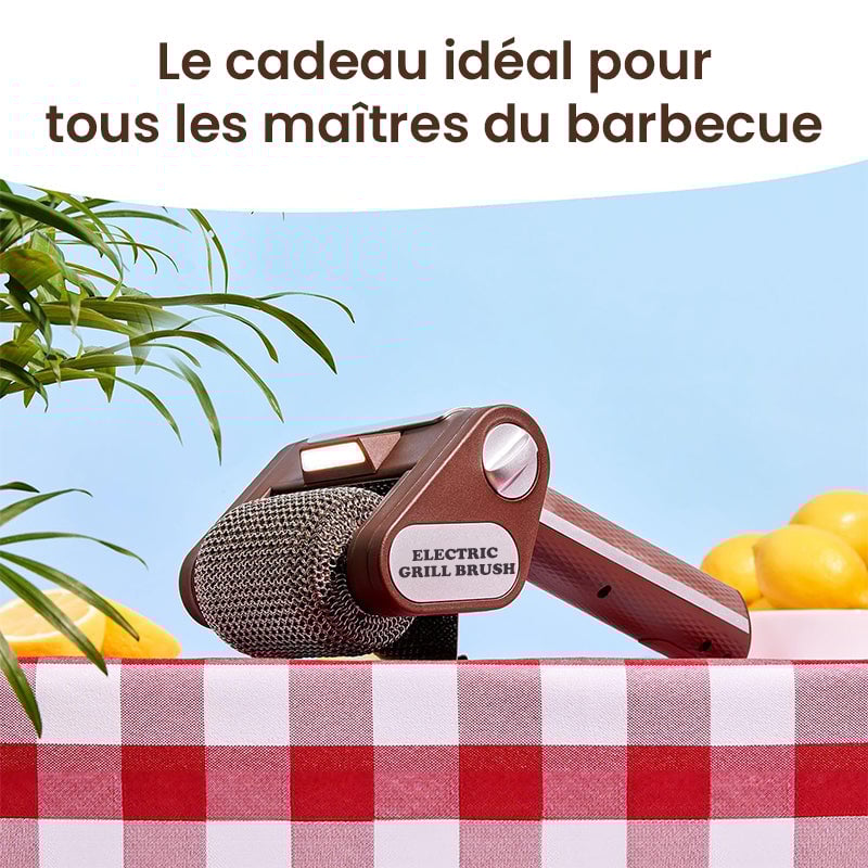 Nettoyeur électrique pour barbecue sans poils