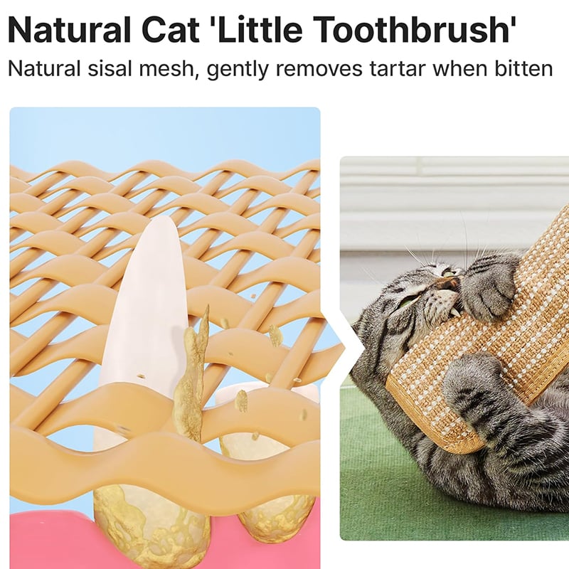 Catnip Pet Pillow