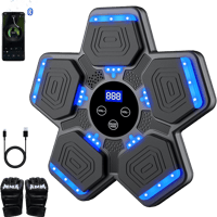 Fitness Boxing Training Machine