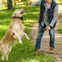 8_dc868693-a7a0-43f3-a51a-a98662566f40