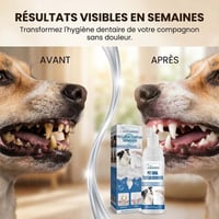 5e5dcbe5-00d8-43b6-3e02-960e17a6c200