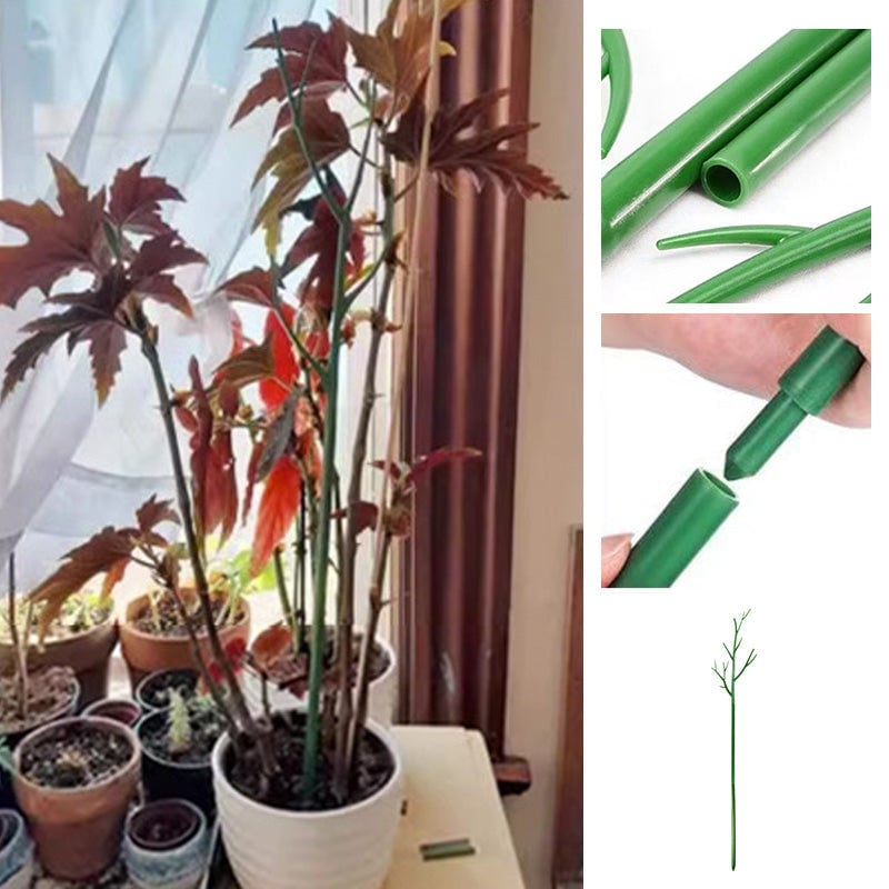 Plant climbing pole