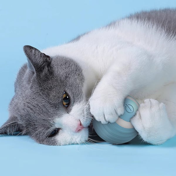 Smart Gravity Cat Teaser Ball