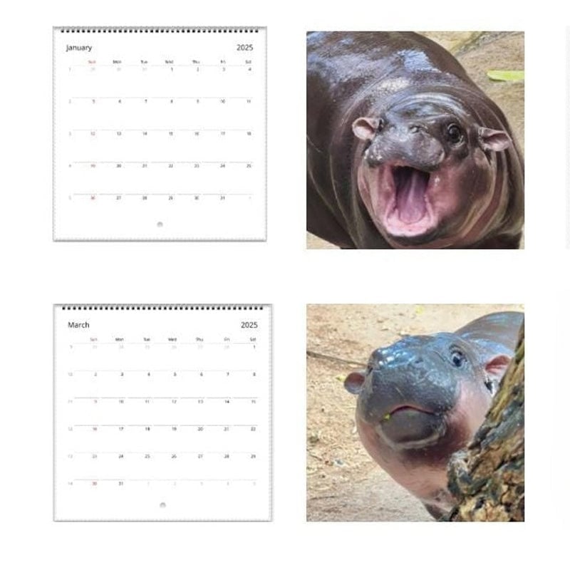 Moo Deng Kalender | Kalender 2025-1
