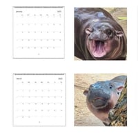 Moo Deng Kalender | Kalender 2025-1