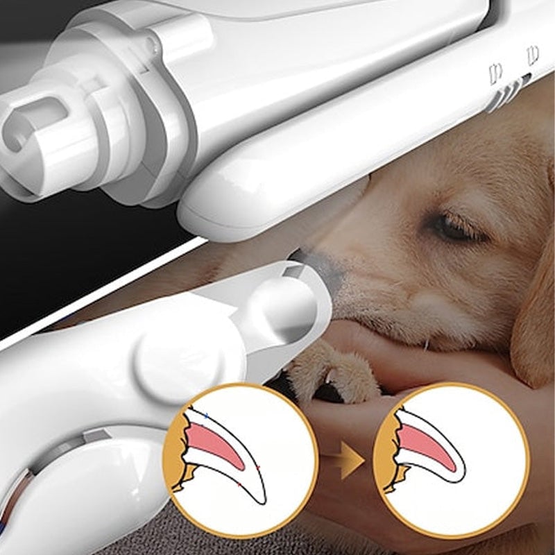 8_534ed830-622b-482b-8d09-2ea150bdbb86