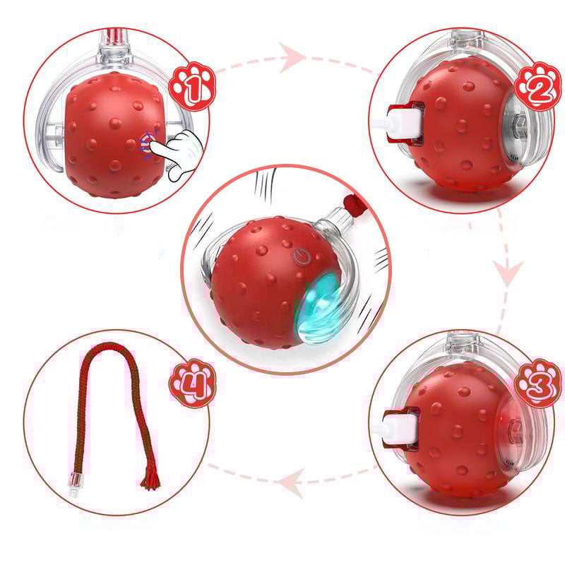 4_89cfba1e-089d-4a3d-923c-c0f34b2a140d